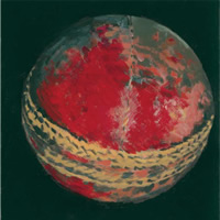 cricket ball by christina pierce