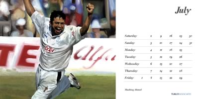 july 2011 art of cricket calendar