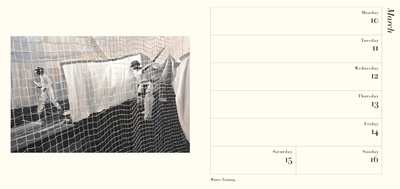 july 2011 art of cricket calendar