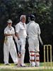 Father and son - painting by christina pierce, cricket artist