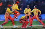 painting by christina pierce, cricket artist