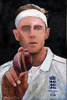 painting by christina pierce, cricket artist