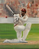 painting by christina pierce, cricket artist