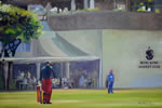 Spectators - oil on canvas 24” x 36” by christina pierce, cricket artist