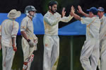 Wicket - oil on canvas 16” x 24” by christina pierce, cricket artist