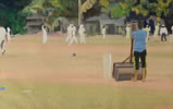 Oval Maidan roller 7in x 11in oil on paper by christina pierce, cricket artist