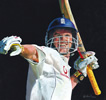 professional cricketers gallery of paintings by cricket artist christina pierce