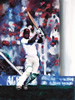 painting by christina pierce, cricket artist