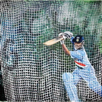 schin in the nets - christina pierce